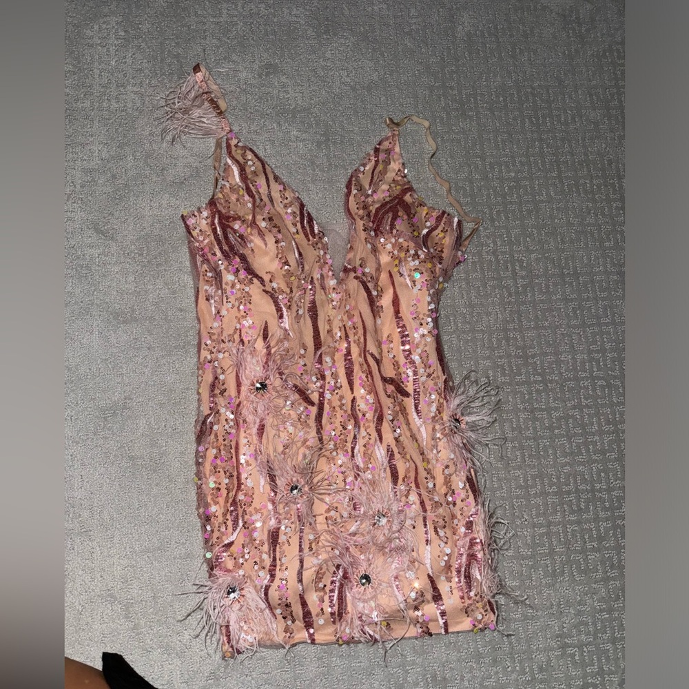 Pink sparkly feather dress. No tag but never worn
